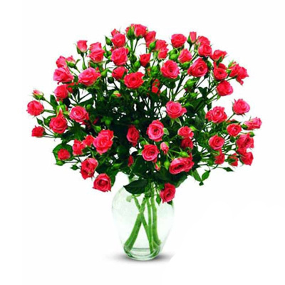 Роза кустовая