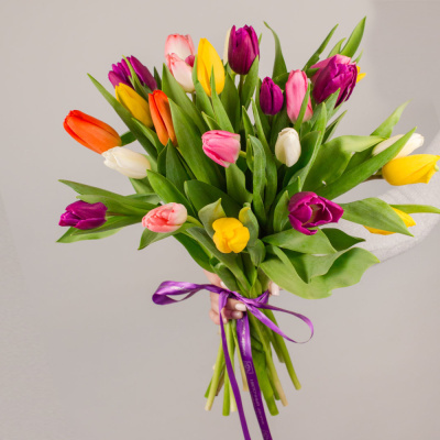 Тюльпаны ПОШТУЧНО арт. 1559