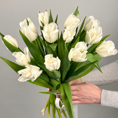 Букет из 15 пионовидных тюльпанов Белые 46325