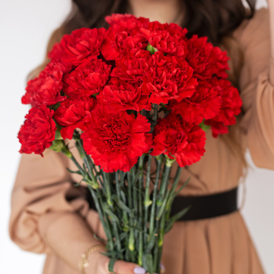 Гвоздика красная ПОШТУЧНО N 24