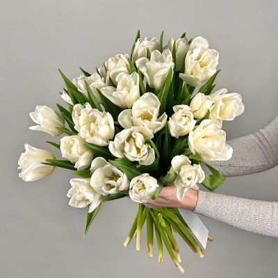Букет из 25 белых пионовидных тюльпанов под ленту 46176