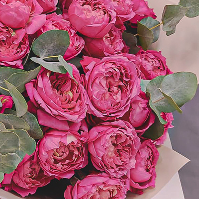 Букет из ярких кустовых пионовидных роз с эвкалиптом N 45355